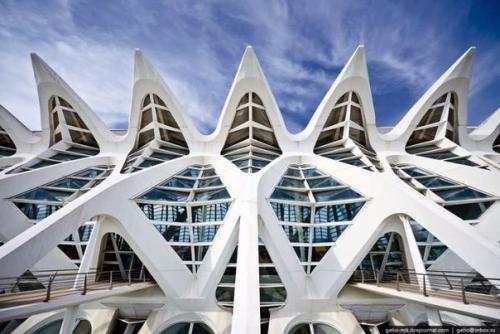 Город искусств и наук - архитектурный комплекс из пяти сооружений на осушенном дне реки Турия в городе Валенсия (Испания. 05