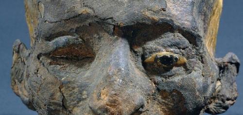 Голова мумии взрослого мужчины, в одном глазу сохранилась инкрустация, следы рыжих волос и бороды видны там, где отслоились льняные повязки мумии. 01