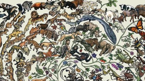 Мы находим трилобита, и книги говорят нам что его возраст составляет 500 миллионов лет.  