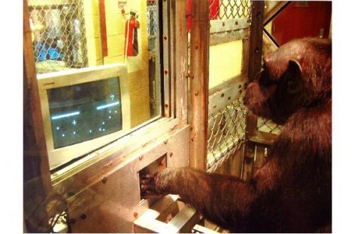 Математический язык муравьев пластичен. 01 Математический язык муравьев пластичен. 01