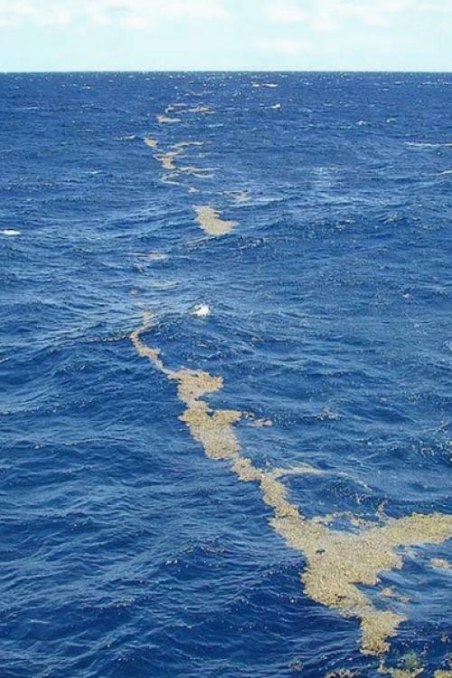 Точки невозврата.  Самые страшные тайны мирового океана. 05