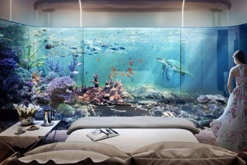 Фото от нашей подписчицы. 01