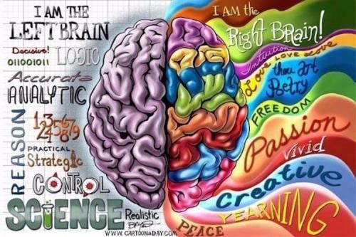 Почему и как нужно совершенствовать полушария мозга? 

