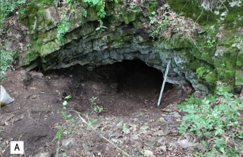 Уральские археологи обнаружили первый следы древней охоты на малого пещерного медведя. 01 Уральские археологи обнаружили первый следы древней охоты на малого пещерного медведя. 01