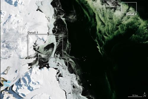 Как зеленеет Антарктида: фото со спутника. 01 Как зеленеет Антарктида: фото со спутника. 01