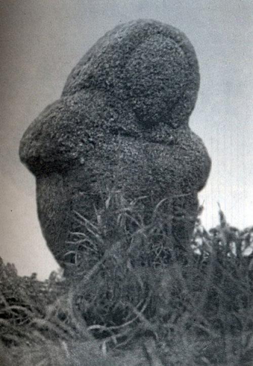 Языческие идолы на ТЕРРИТОРИИ Беларуси. 01 Языческие идолы на ТЕРРИТОРИИ Беларуси. 01