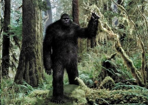 Йети приходят из параллельной мира.