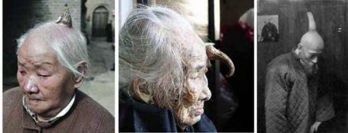 Рогатые мутанты - жертвы генетического сбоя?