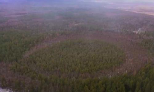 Оршинский лесоглиф - место, которое лучше обходить стороной. 

