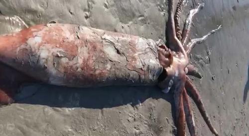 Вы только посмотрите на него! 03