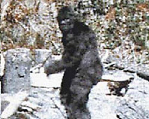 Йети приходят из параллельной мира. 02