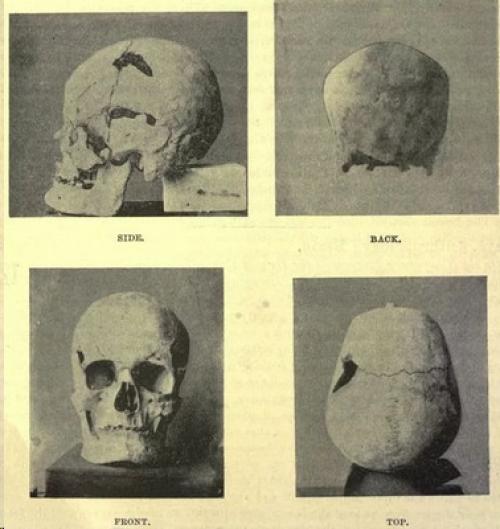Древнеегипетский фараон санахт был великаном. 01 Древнеегипетский фараон санахт был великаном. 01