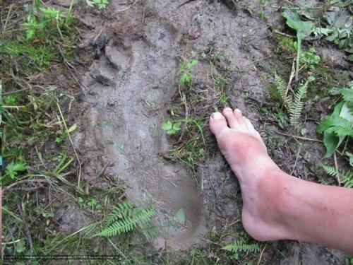 Йети приходят из параллельной мира. 01