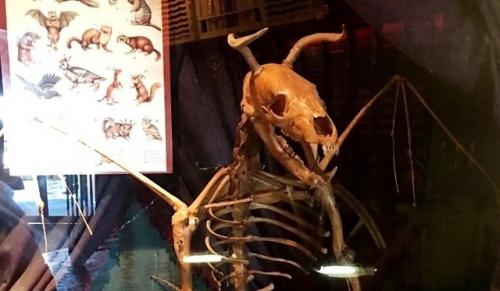 Существо из джерси могли видеть и в 21 веке. 01 Существо из джерси могли видеть и в 21 веке. 01