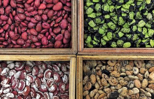 Хранить вечно: как устроено всемирное семенохранилище на Шпицбергене. 02 Хранить вечно: как устроено всемирное семенохранилище на Шпицбергене. 02