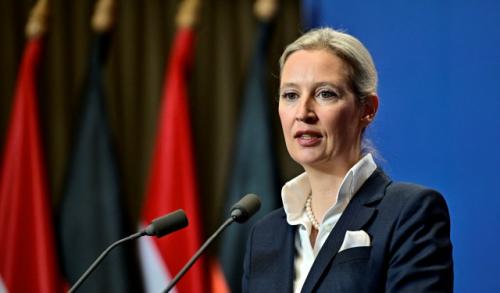 Лидер АдГ пообещала вернуть германии российские нефть и газ.

