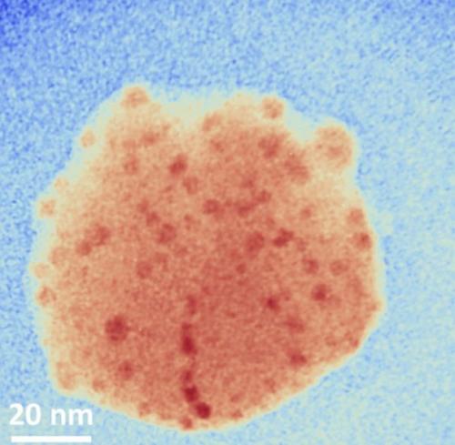 Эксперты уверяют, что на туринской плащанице сохранилась кровь человека, которого жестоко пытали. 04 Эксперты уверяют, что на туринской плащанице сохранилась кровь человека, которого жестоко пытали. 04