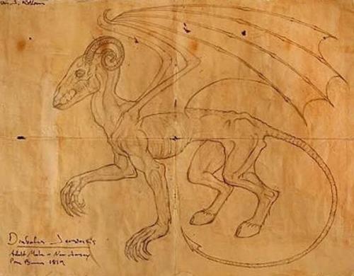 Существо из джерси могли видеть и в 21 веке. 02 Существо из джерси могли видеть и в 21 веке. 02