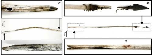 Растаявший ледник в Монголии обнажил останки архаров и древнее оружие. 02