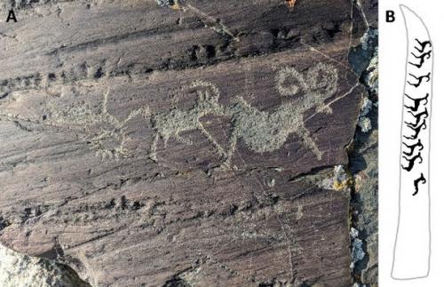 Растаявший ледник в Монголии обнажил останки архаров и древнее оружие. 01