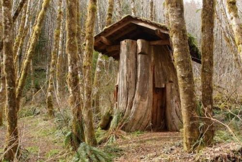 Дома - пни американских переселенцев XIX века. 09