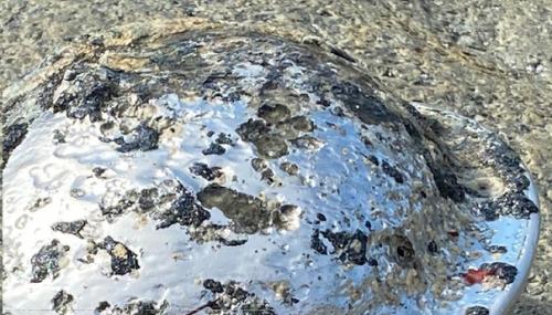 На пляж в Норвегии упал бпла - нло? 01 На пляж в Норвегии упал бпла - нло? 01