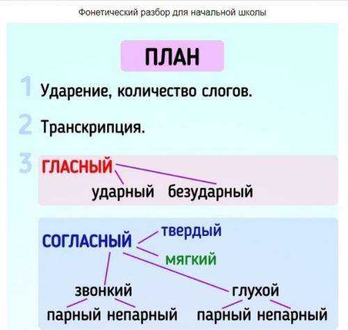 Как делать фонетический разбор. 04