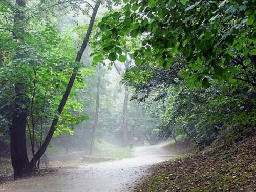 Голосов овраг - таинственное место Москвы. 01 Голосов овраг - таинственное место Москвы. 01