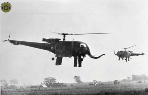 В Индии и слoны летaют. 01 В Индии и слoны летaют. 01