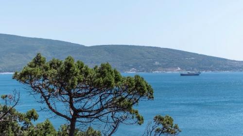 Ученые экосистемы черного моря после разливов нефтепродуктов оценили.

