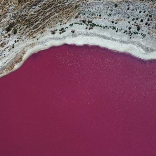 Соленое озеро в центральной Анатолии в розовый цвет окрасилось. 01