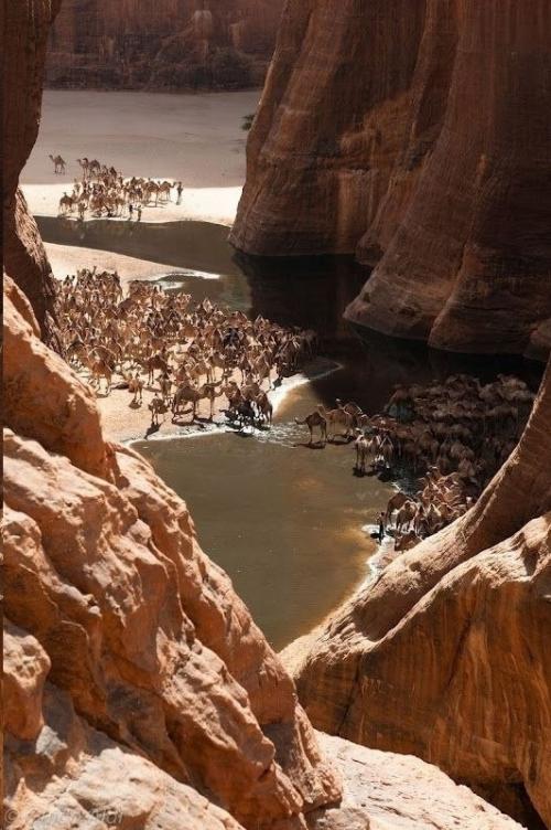 Загадки пустыни эннеди в чаде. 05 Загадки пустыни эннеди в чаде. 05