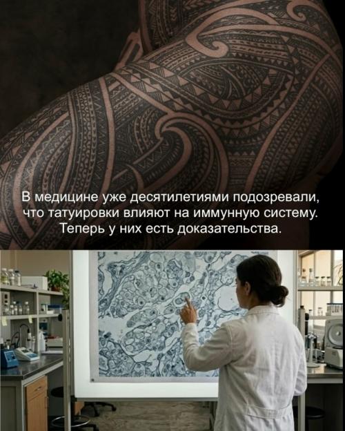 То, что татуировки влияют на иммунную систему, в медицине долгое время рассматривалось лишь как гипотеза.  