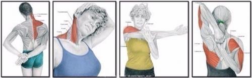 Почему нужна растяжка и как правильно растягиваться? 08