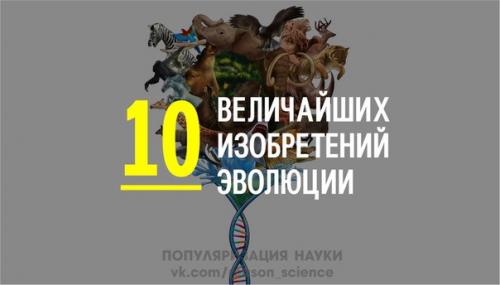 Как возникла жизнь? Как возникла жизнь?