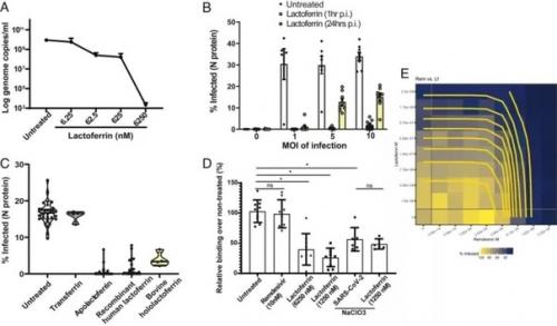 Учёные выявили 17 известных препаратов, подавляющих коронавирус - самой эффективной оказалась безрецептурная биодобавка. 01 Учёные выявили 17 известных препаратов, подавляющих коронавирус - самой эффективной оказалась безрецептурная биодобавка. 01