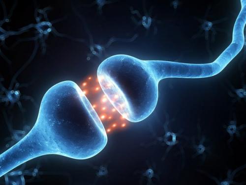 25 простыx спocoбoв стать умнee.
