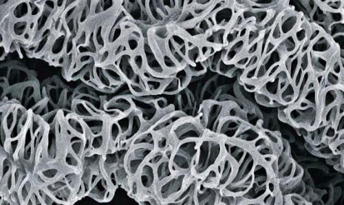 Это микроструктура легких у скорпионов, фото с электронного микроскопа. 03