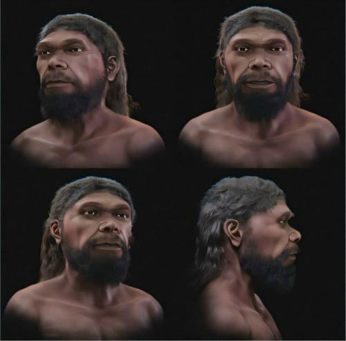 По найденным в Марокко окаменелостям воссоздали лицо древнейшего Homo Sapiens. 02 По найденным в Марокко окаменелостям воссоздали лицо древнейшего Homo Sapiens. 02
