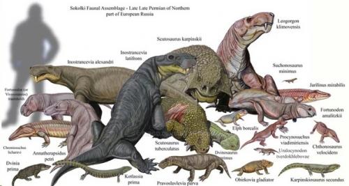 Как динозавры захватили мир. 01 Как динозавры захватили мир. 01