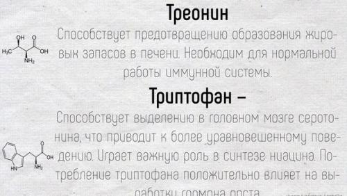 Краткое описание основных функций, которые выполняют аминокислоты в нашем организме. 03