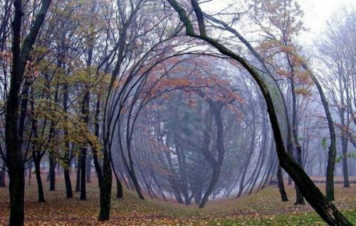 Тайна долины утраченных жизней. 01