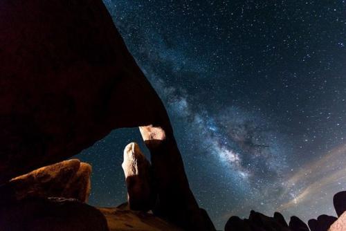 45-Летний Стивен ипполито регулярно снимает млечный путь и был приятно удивлен, обнаружив на одной из идеальных фотографий тюленя. 05