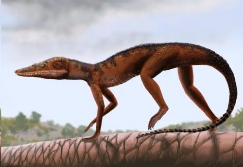 Как динозавры захватили мир. 05 Как динозавры захватили мир. 05