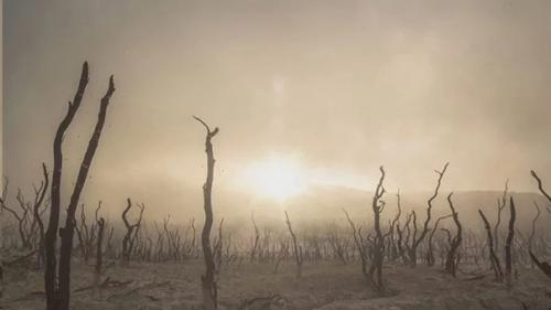 Как динозавры захватили мир. 02 Как динозавры захватили мир. 02