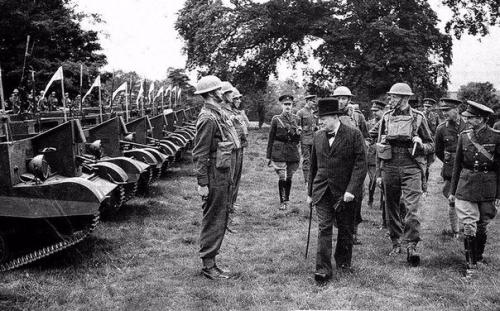 Британский лев против Морского Льва. 08 Британский лев против Морского Льва. 08