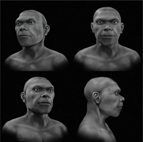 По найденным в Марокко окаменелостям воссоздали лицо древнейшего Homo Sapiens. 01 По найденным в Марокко окаменелостям воссоздали лицо древнейшего Homo Sapiens. 01