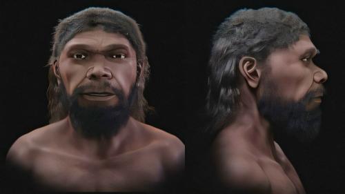 По найденным в Марокко окаменелостям воссоздали лицо древнейшего Homo Sapiens.
