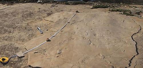 На Крите нашли человеческие следы возрастом в 5, 7 млн лет, хотя в это время предки людей еще жили в Африке. 01