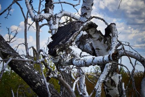 Склон Бешеных Молний. 06